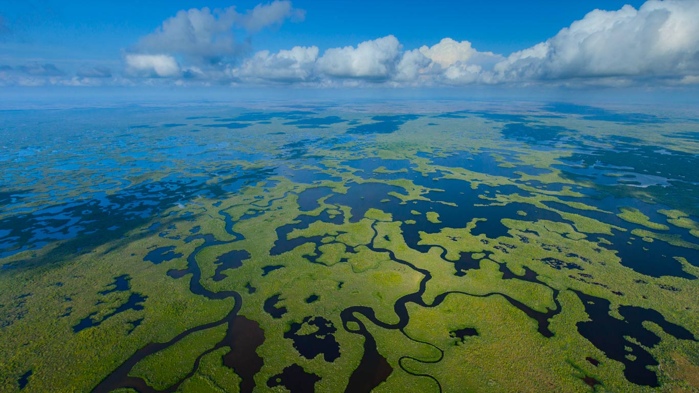 Aerial Of Everglades National Park In Florida Wallpaper By