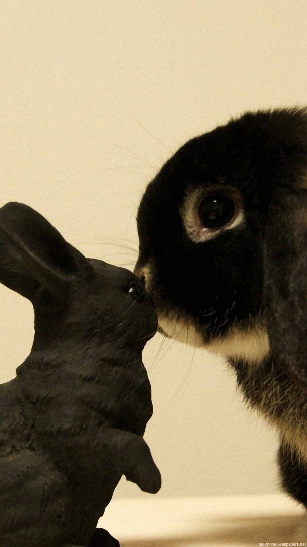 White Rabbit Wallpaper