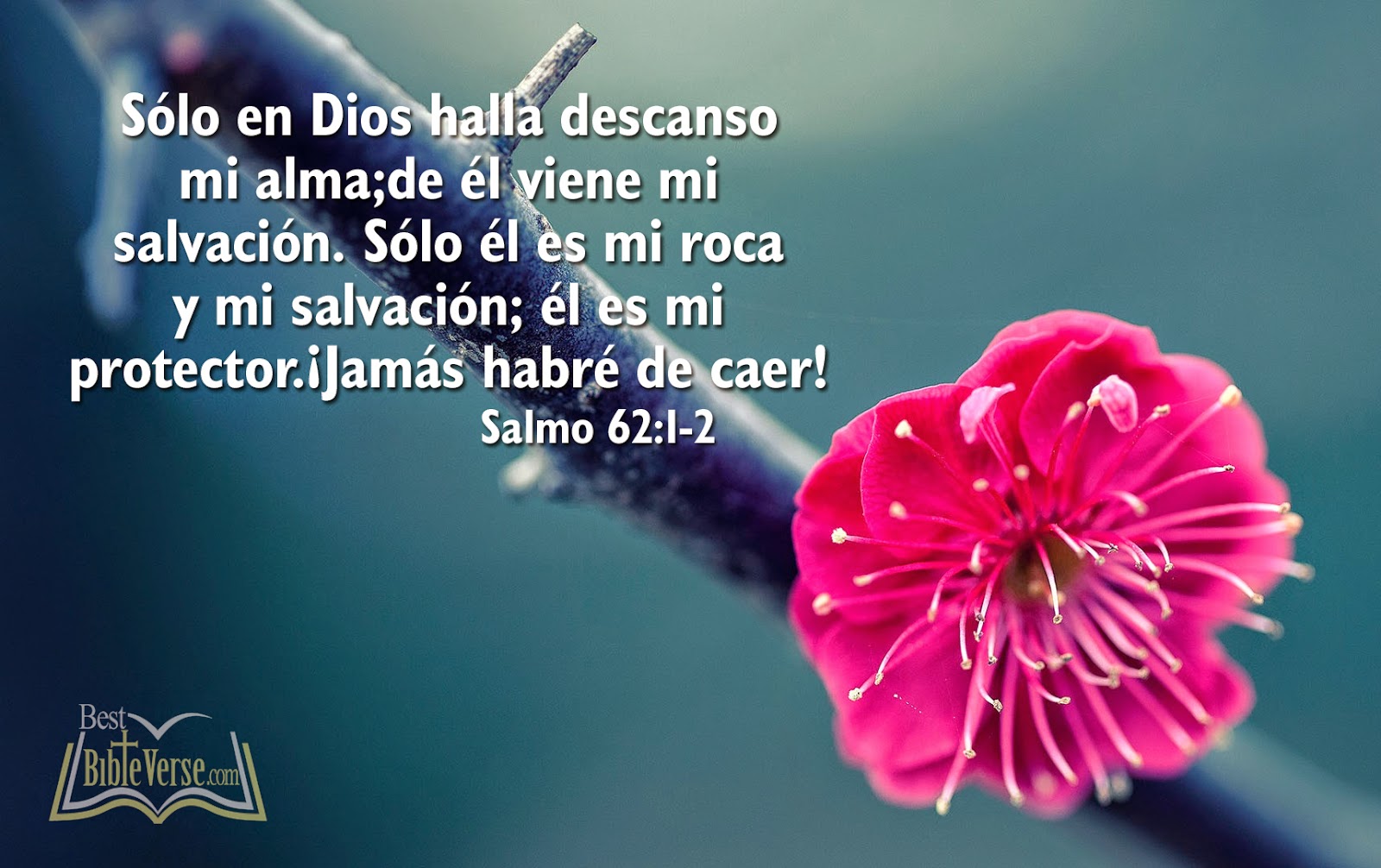 jesus wallpaper with quotes spanish