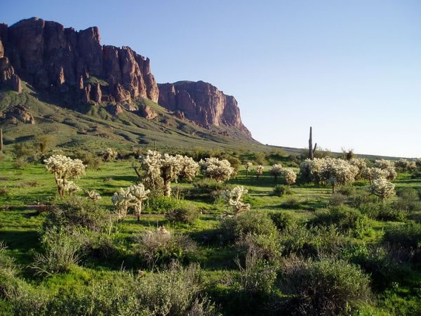 Mountains loom in the background of these Sonoran Desert scenes 600x450