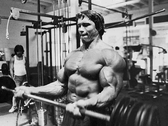 What I Learned From Arnold Schwarzenegger About Success