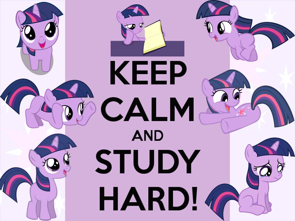 Keep Calm And Study Hard Wallpaper By