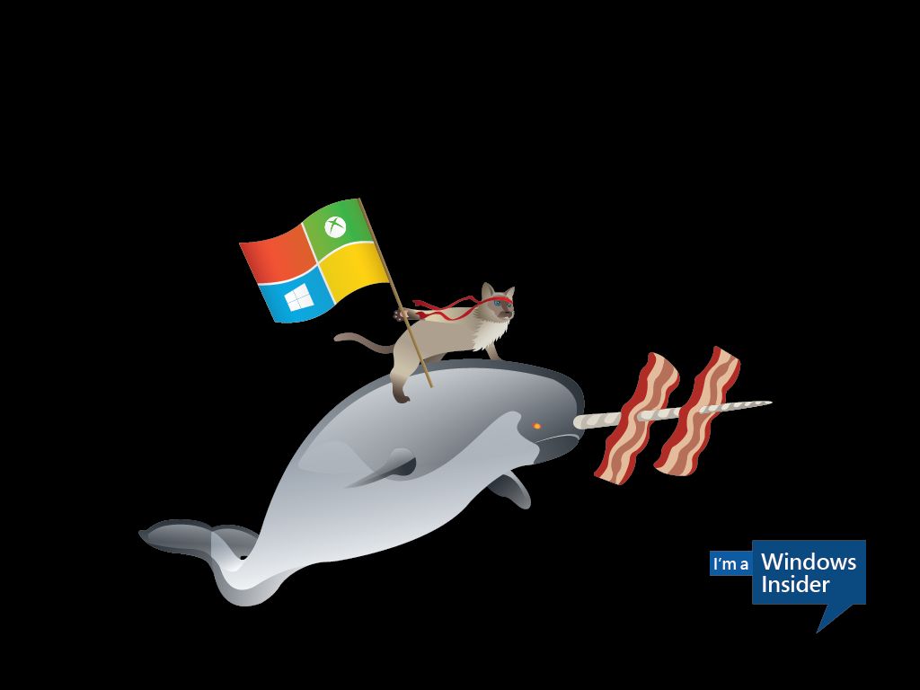Microsoft Releases New Windows Pre Wallpaper