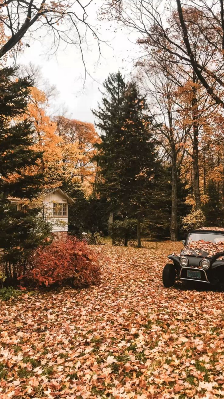 Fall And Halloween Wallpaper For iPhone Lock Screen In
