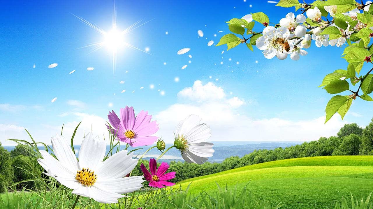 Awakened Springtime Nature With Stunning New Spring Live Wallpaper