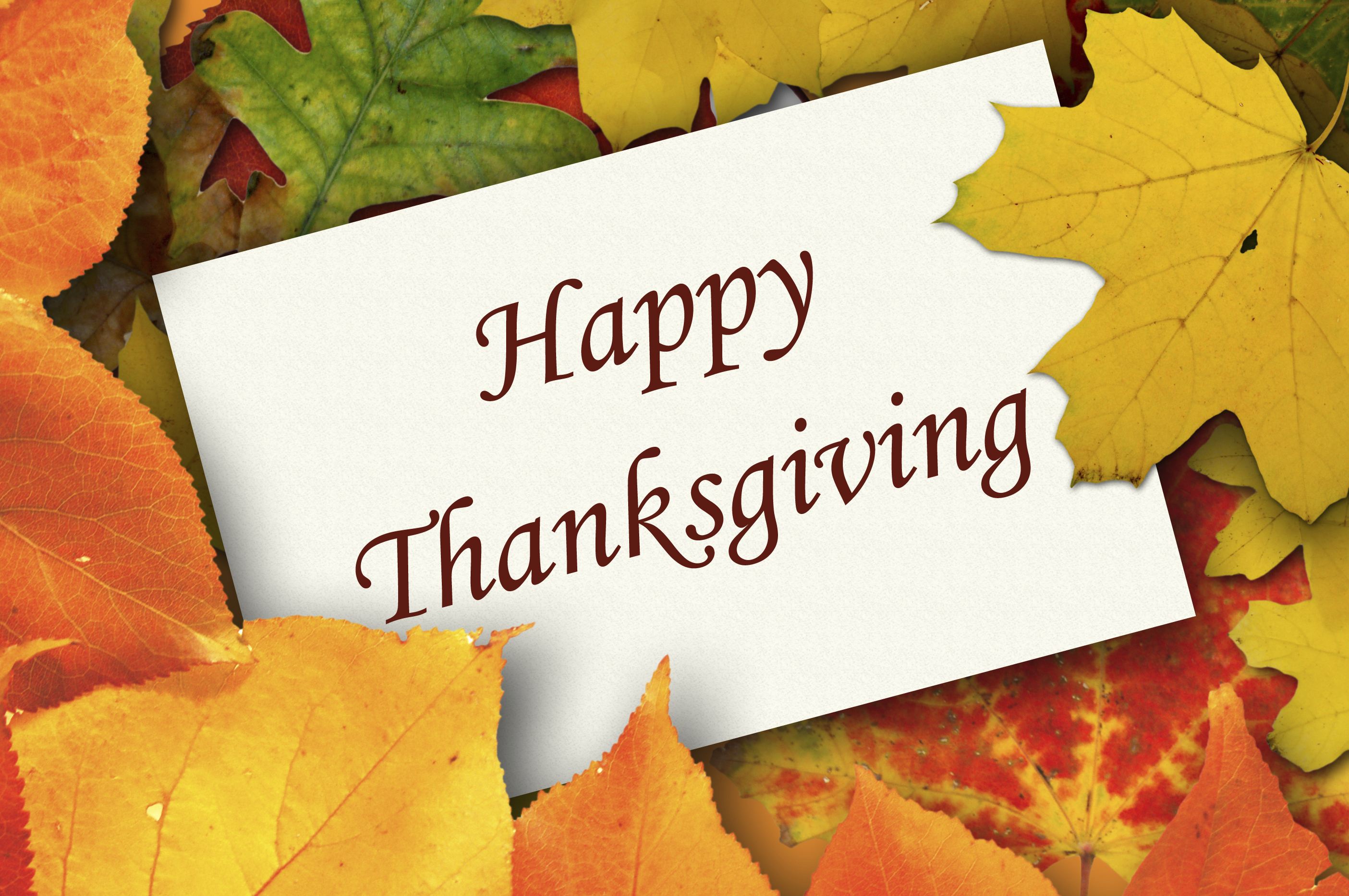 Happy Thanksgiving greeting card on a background of colorful autumn leaves