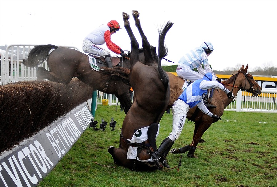 Cheltenham Race Horse HD Wallpaper For