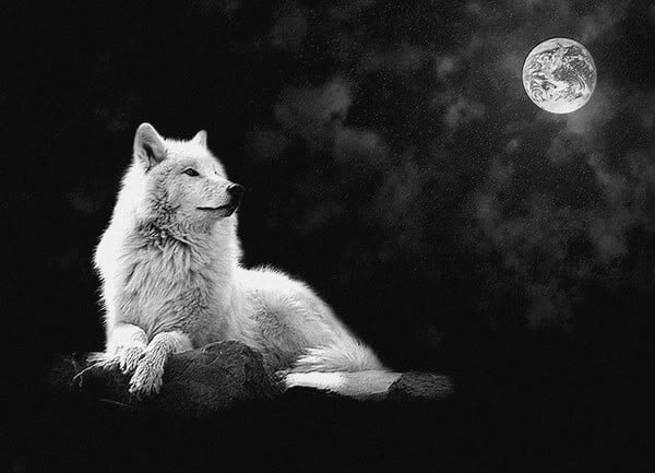 WOLF MOON WISE WOMAN COUNCIL Saturday January 26 6   8 pm EST