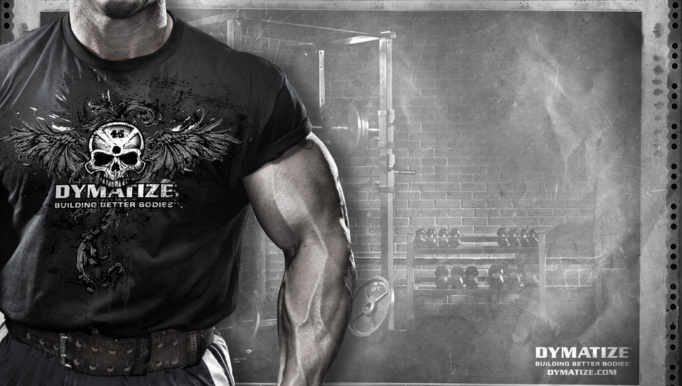 Muscles Sportpit Dymatize Sports Andy Haman Wallpaper And