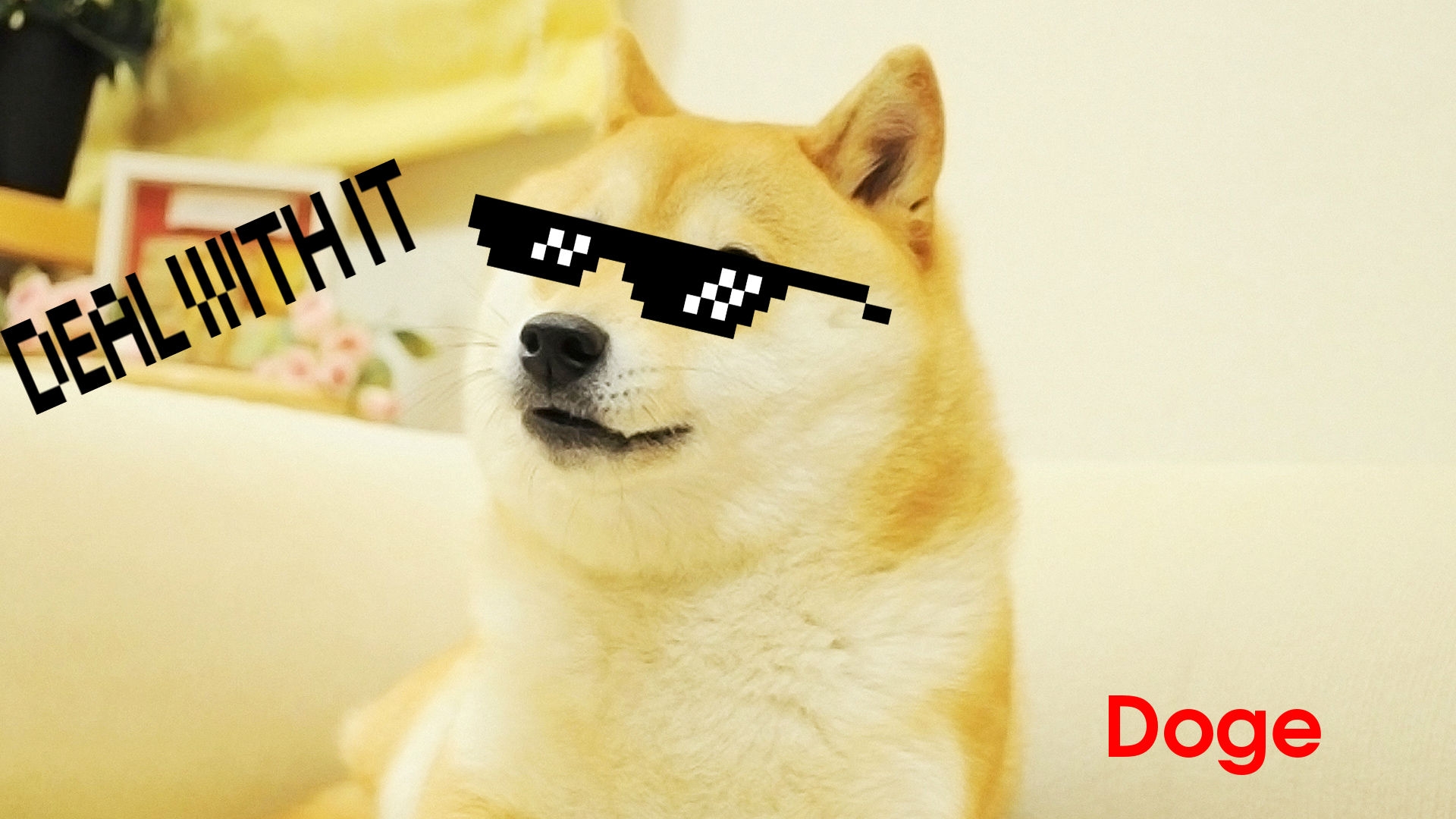 Such swag Doge Wallpaper 1920x1080