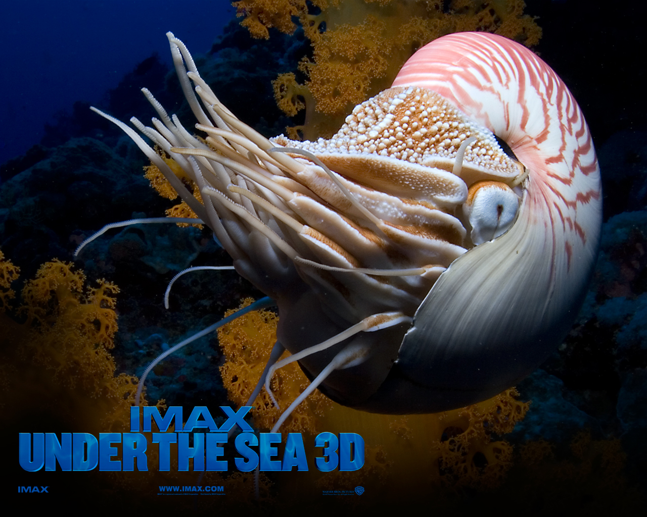 Fondo Imax Under The Sea 3d De Pantalla Y Escritorio Wallpaper