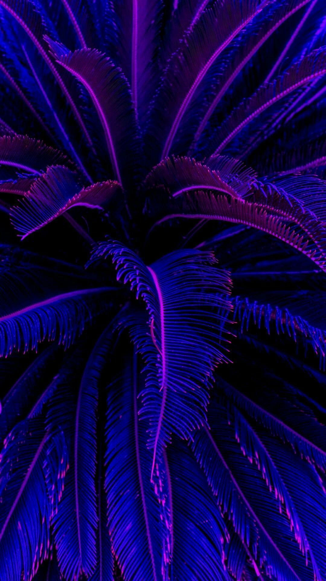 Neon Aesthetic Phone Wallpaper On