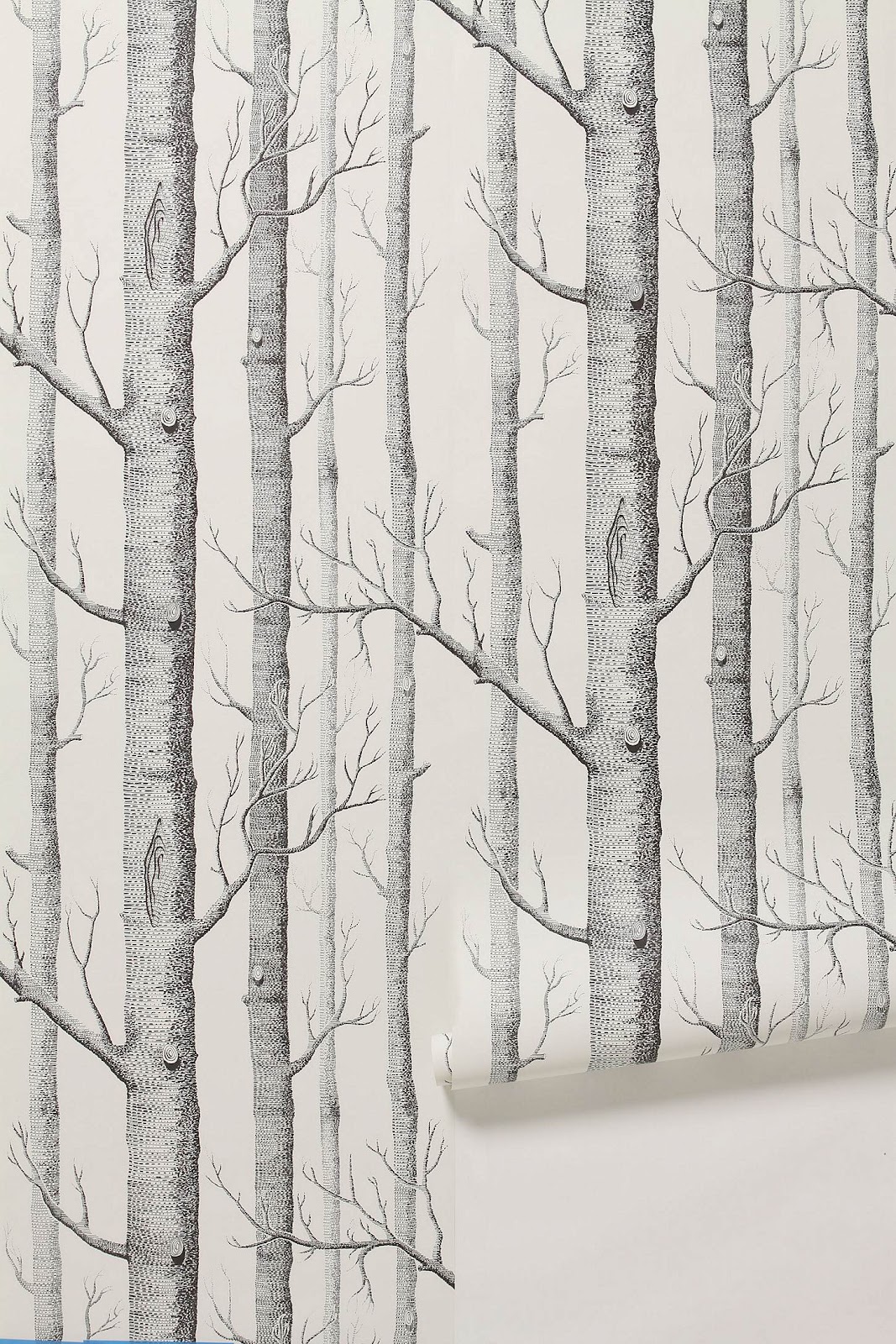 Anthropologie Wood Trees Forest Wallpaper Black And White Gray Modern