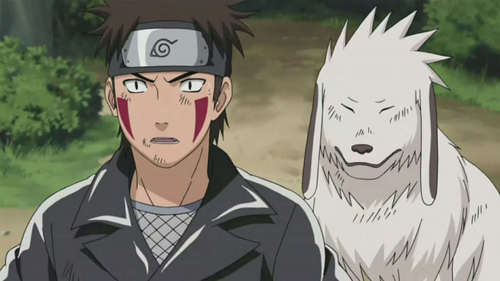 Kiba from Naruto Shippuden images Kiba HD wallpaper and background 500x281