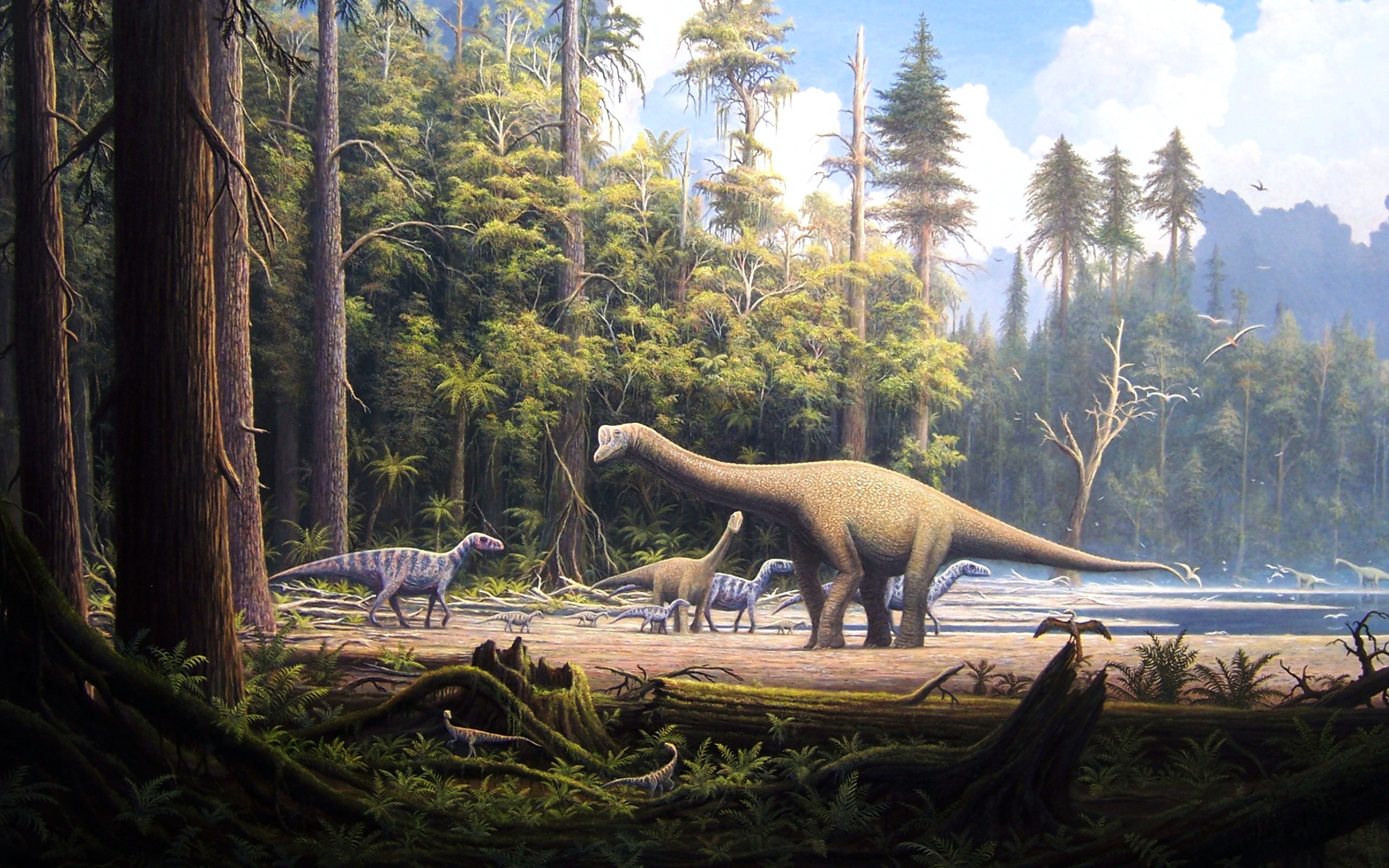 Dinosaur Puter Wallpaper Desktop Background Id