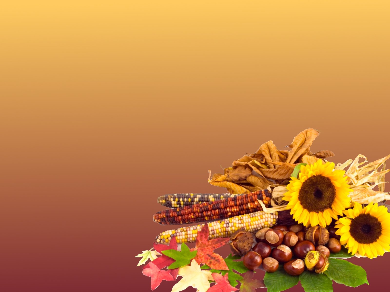 Saw I Learned Share Thanksgiving Powerpoint Background