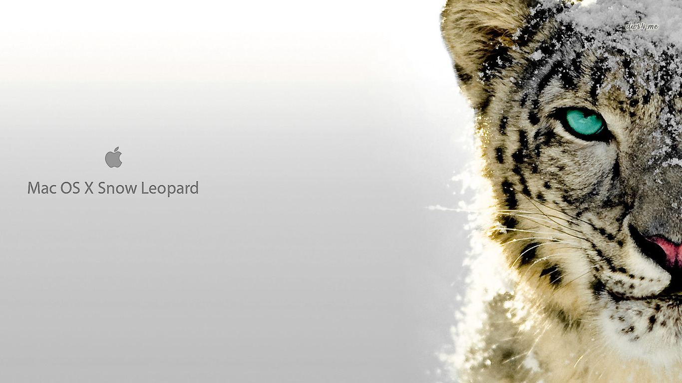 Pics Photos Leopard HD Mac Wallpaper Apple