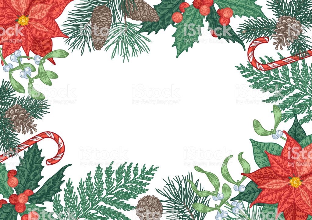 Vintage Christmas Background With Winter Plants And Berries Stock