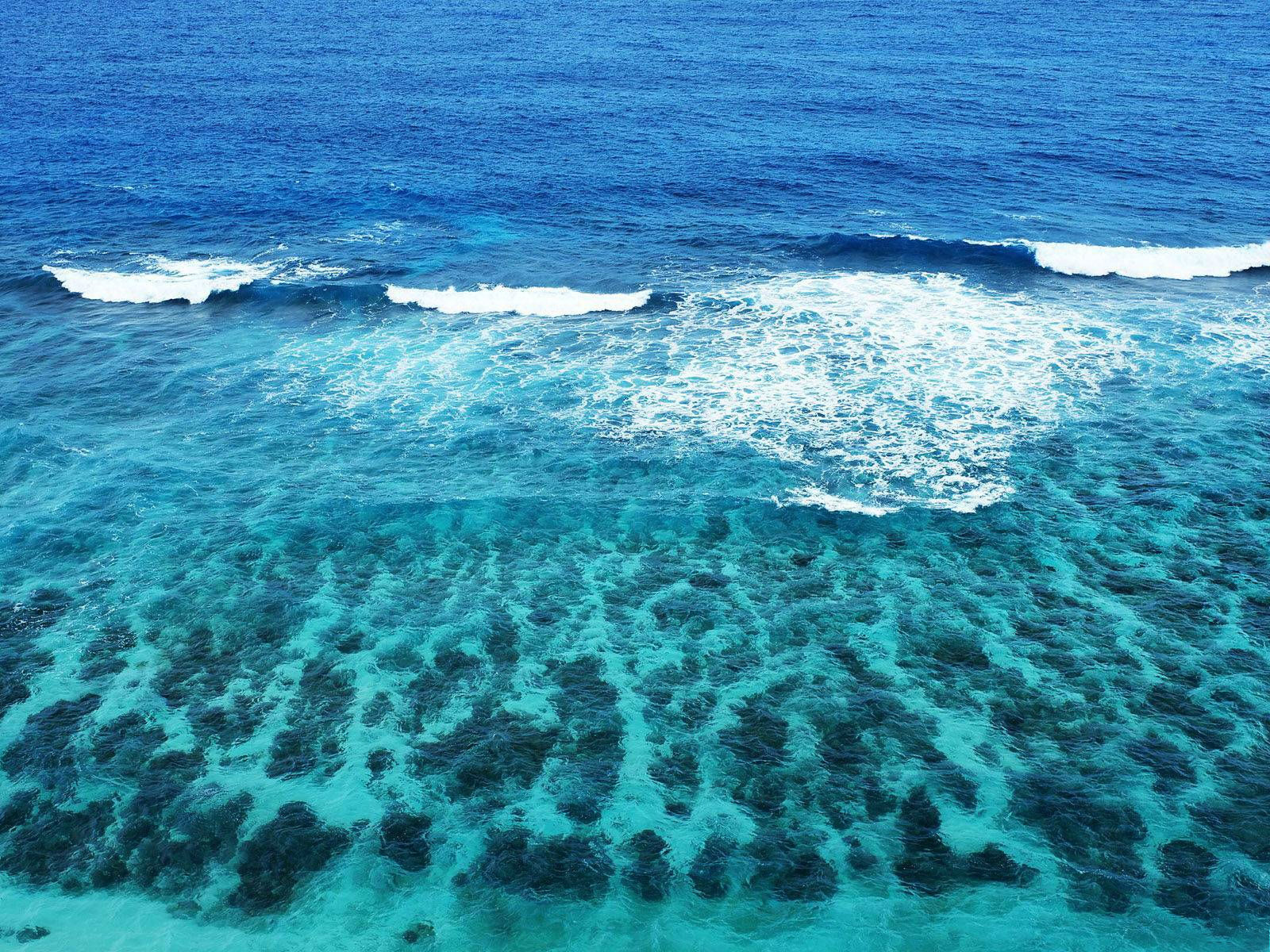 Live Ocean Waves Wallpapers WallpaperSafari