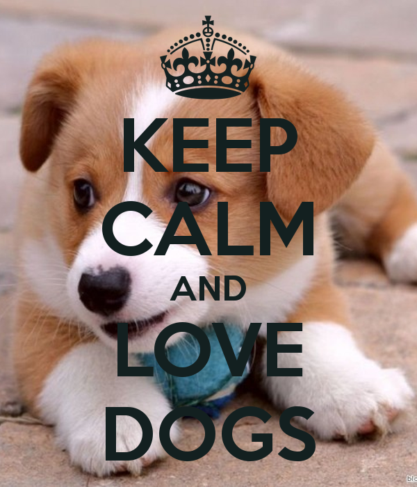 🔥 [46+] I Love Dogs Wallpaper | WallpaperSafari