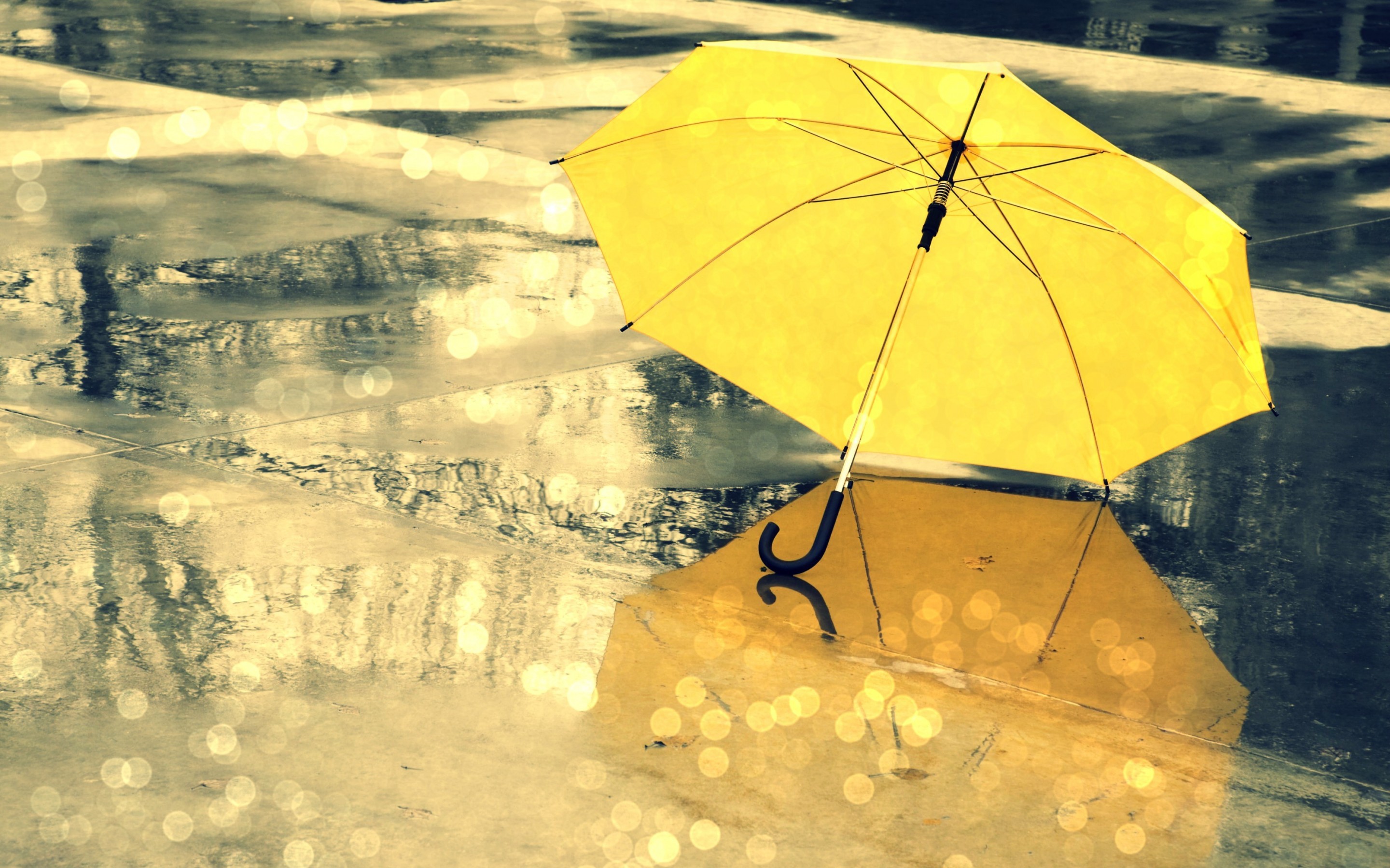 Yellow Umbrella Rain HD Wallpaper New