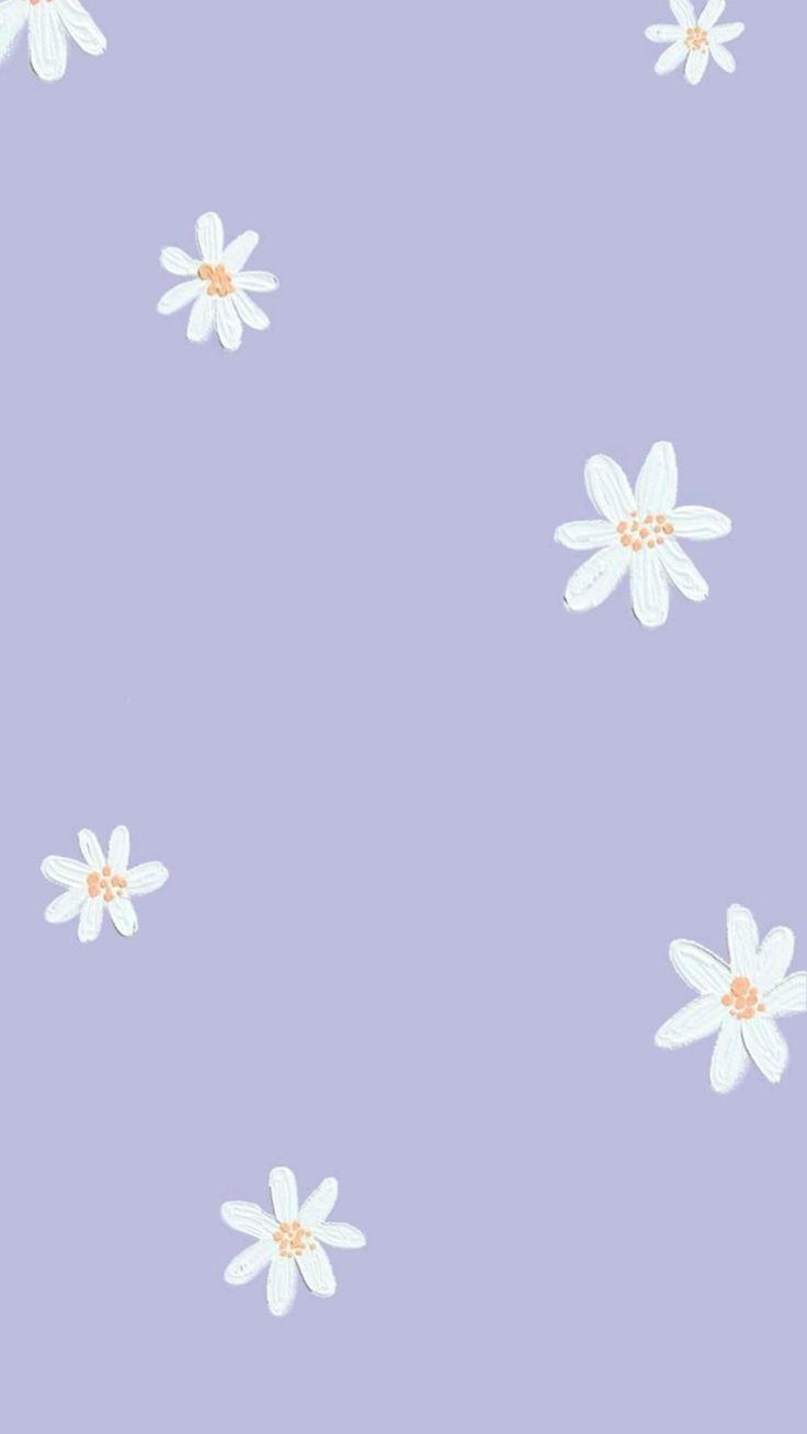 Ema On Pins By You In Light Purple Wallpaper