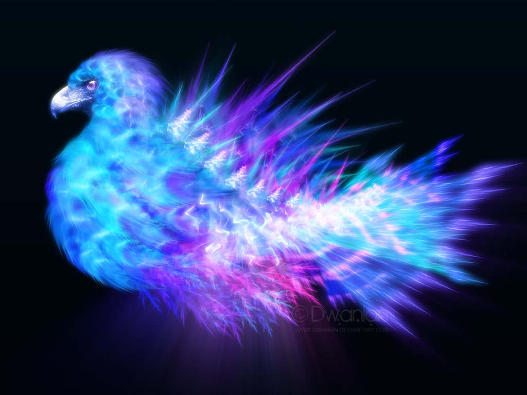 Blue Phoenix Wallpaper Storm By