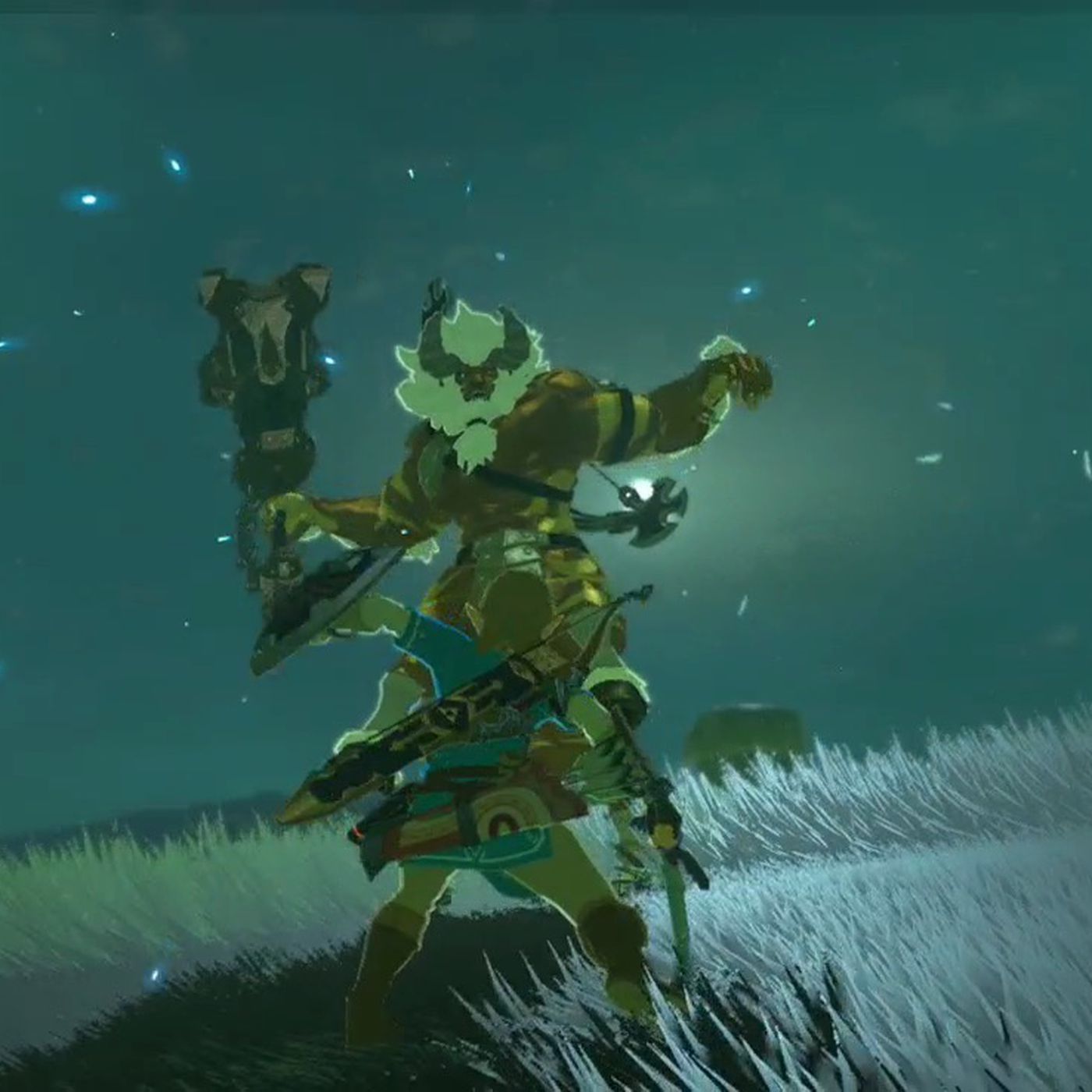 You Gotta See This Breath Of The Wild Expert Utterly Destroy A