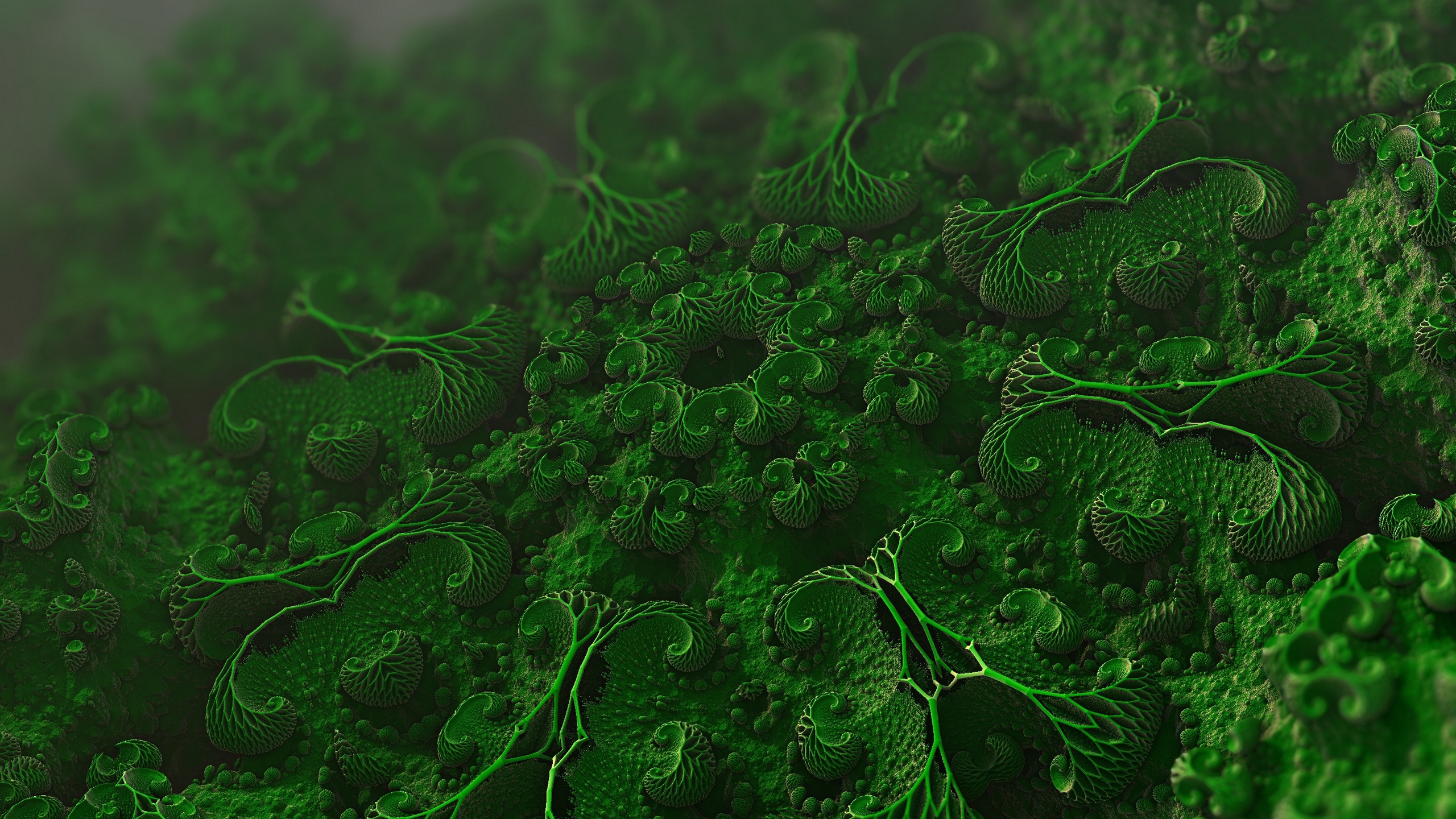 Wallpaper Microorganisms Cells Microscopic