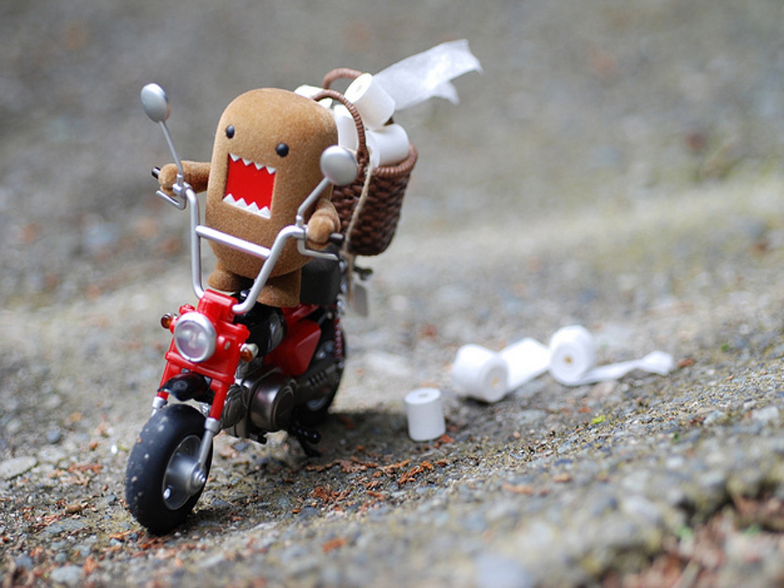 Funny Desktop Wallpaper Widescreen Wide Screen