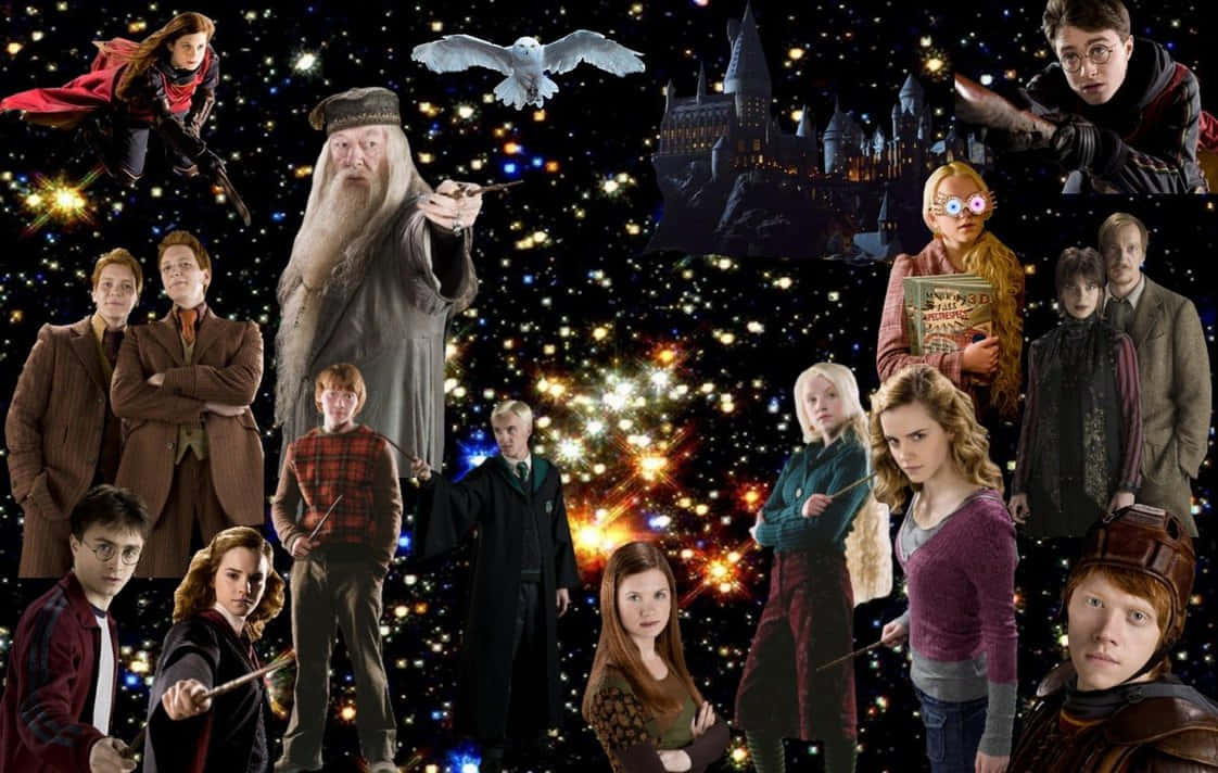 Harry Potter All Characters Wallpaper