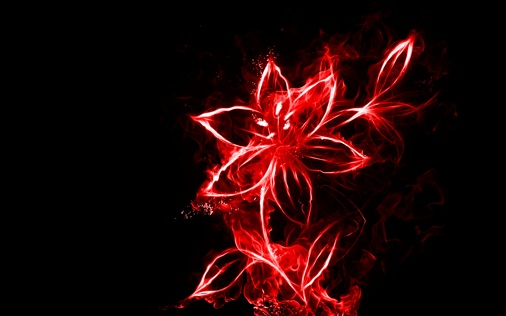 Red Fire Flower HD Wallpaper