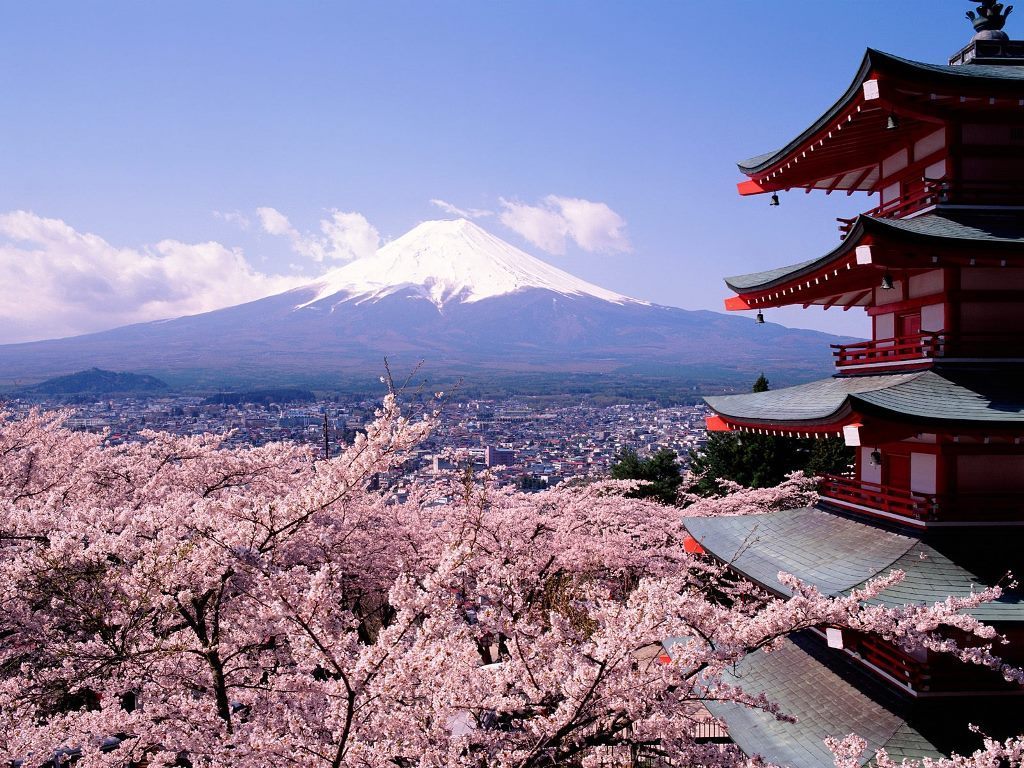 18+] Japanese Sakura Tree Wallpapers - WallpaperSafari