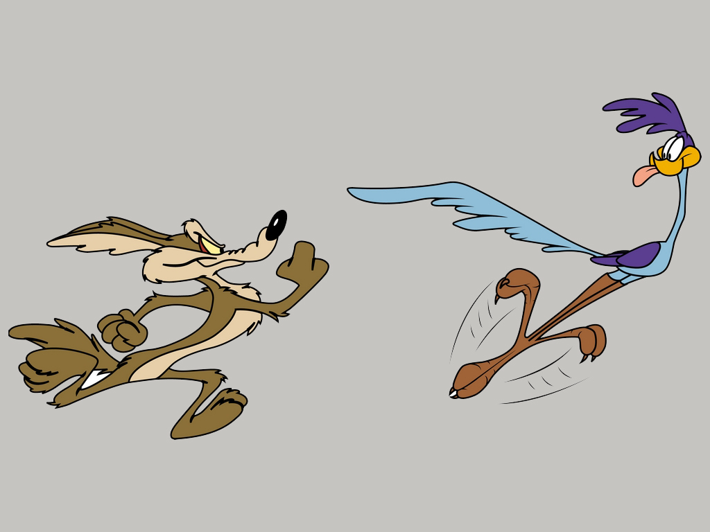 Wile Coyote And Road Runner