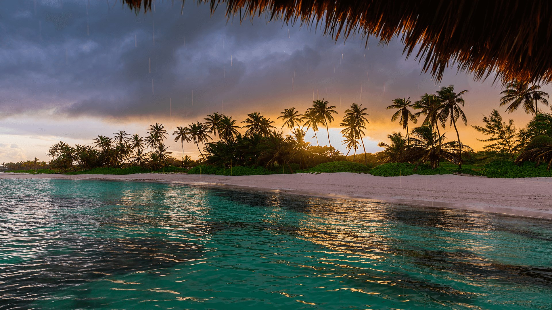 Nature Beach HD Wallpaper For Windows