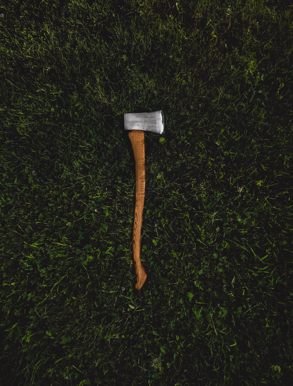 Woodsy Wallpaper Posted By Ryan Sellers