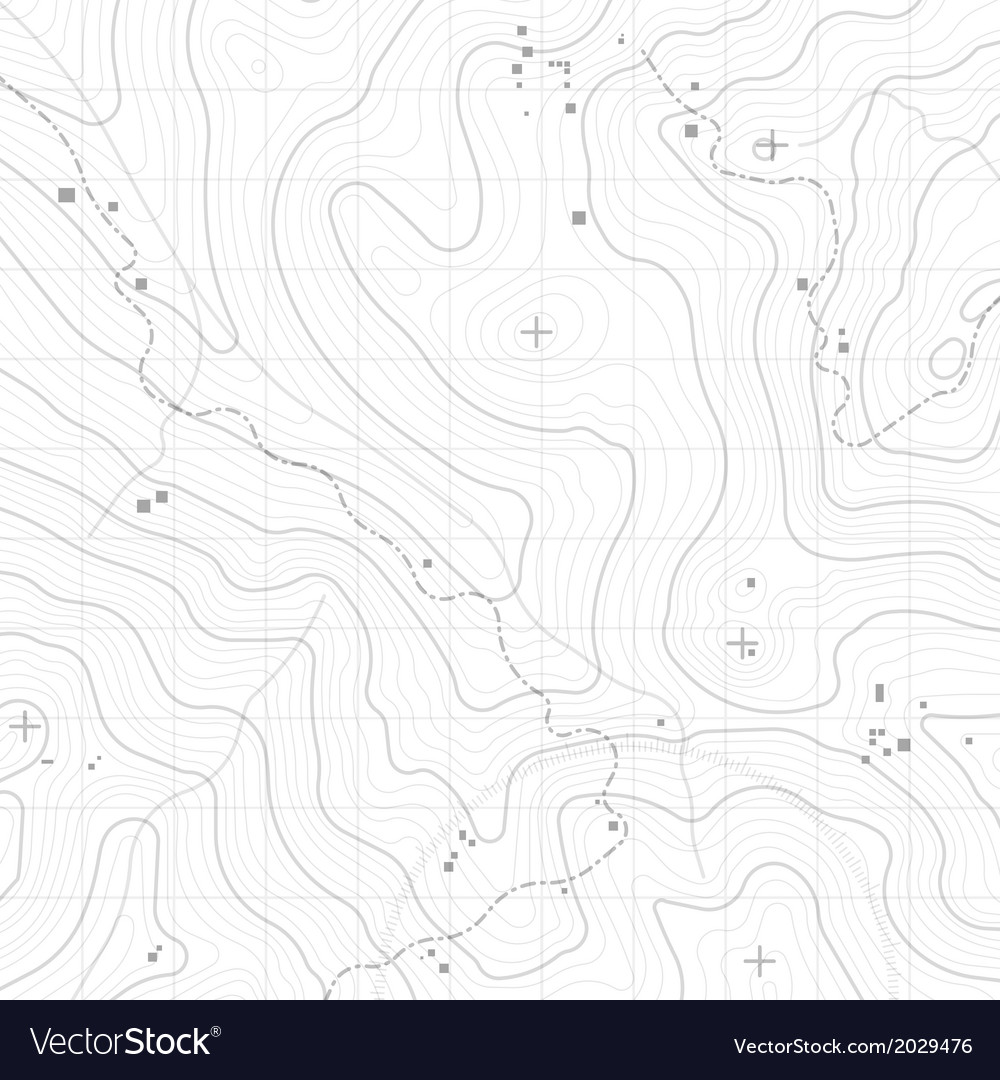 Topography Background Royalty Vector Image