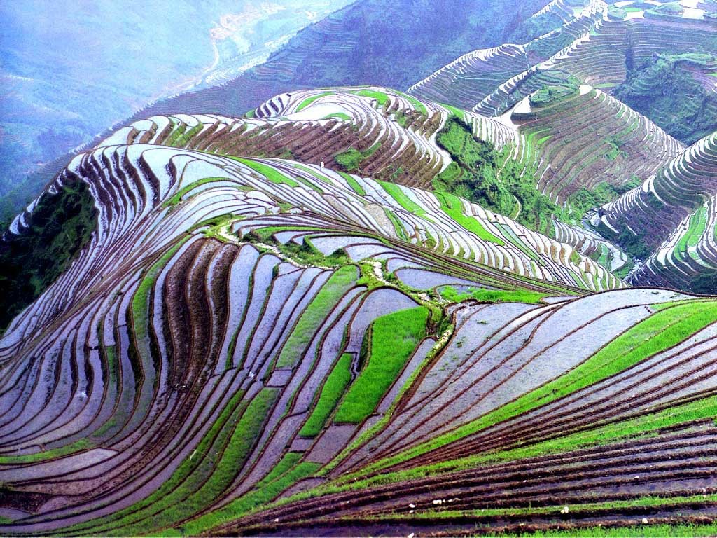 The Terrace Rice Fields In Yunnan Province Are Made By Hand