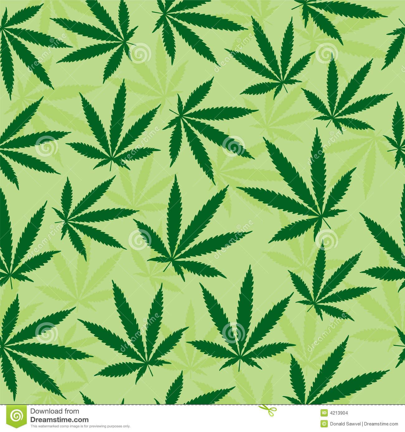 Weed Leaf Background HD Wallpaper On