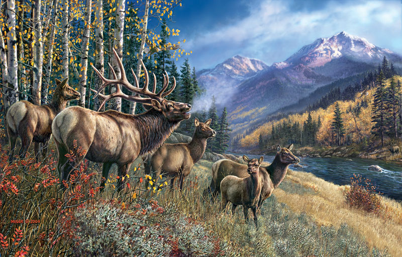 Elk Anthem Wildlife Jigsaw Puzzle