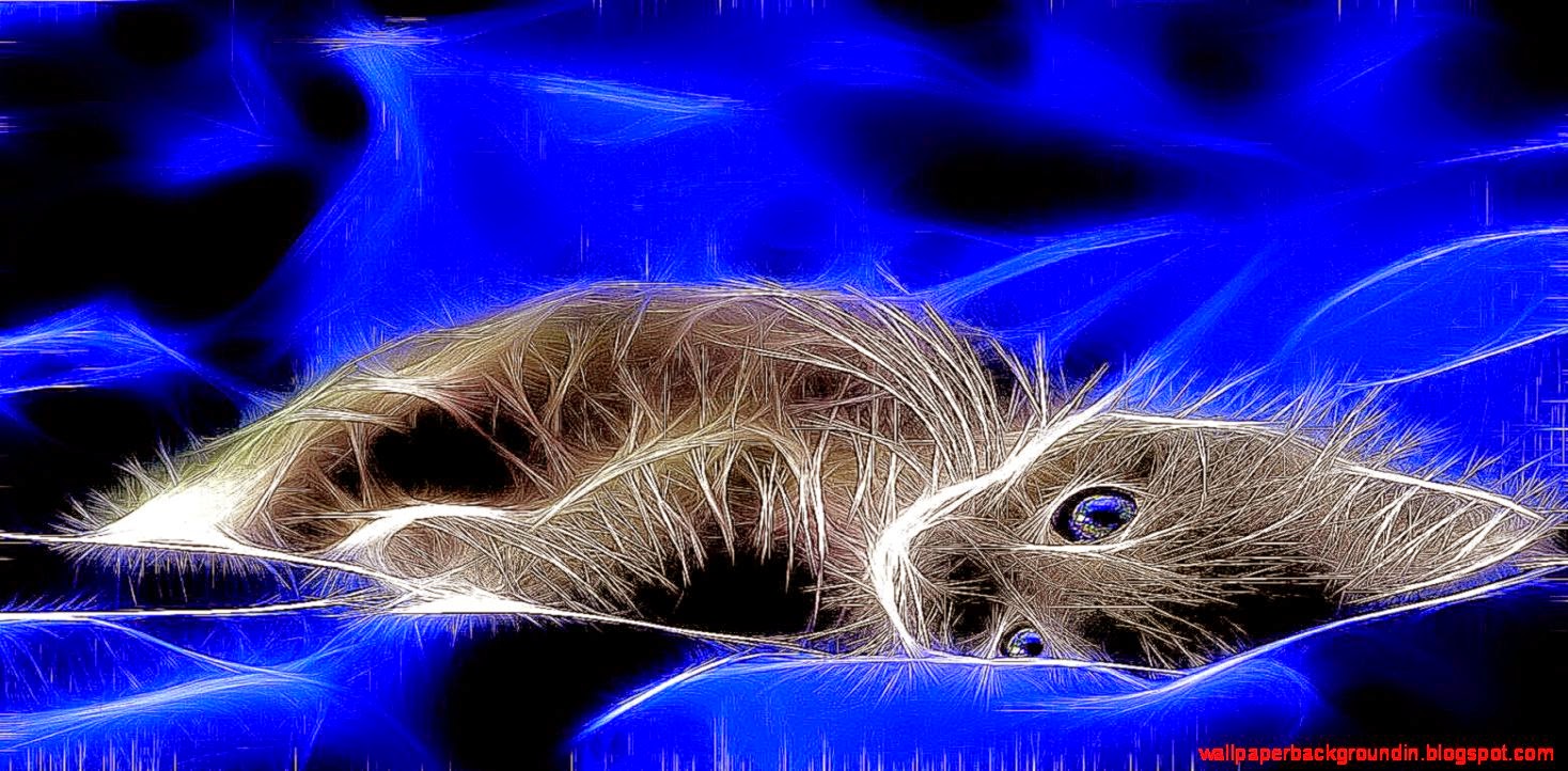 3d Cats Wallpaper Android Light Background