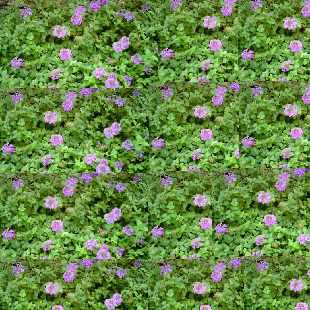 File Purple Floral Wallpaper Jpg Wikimedia Mons