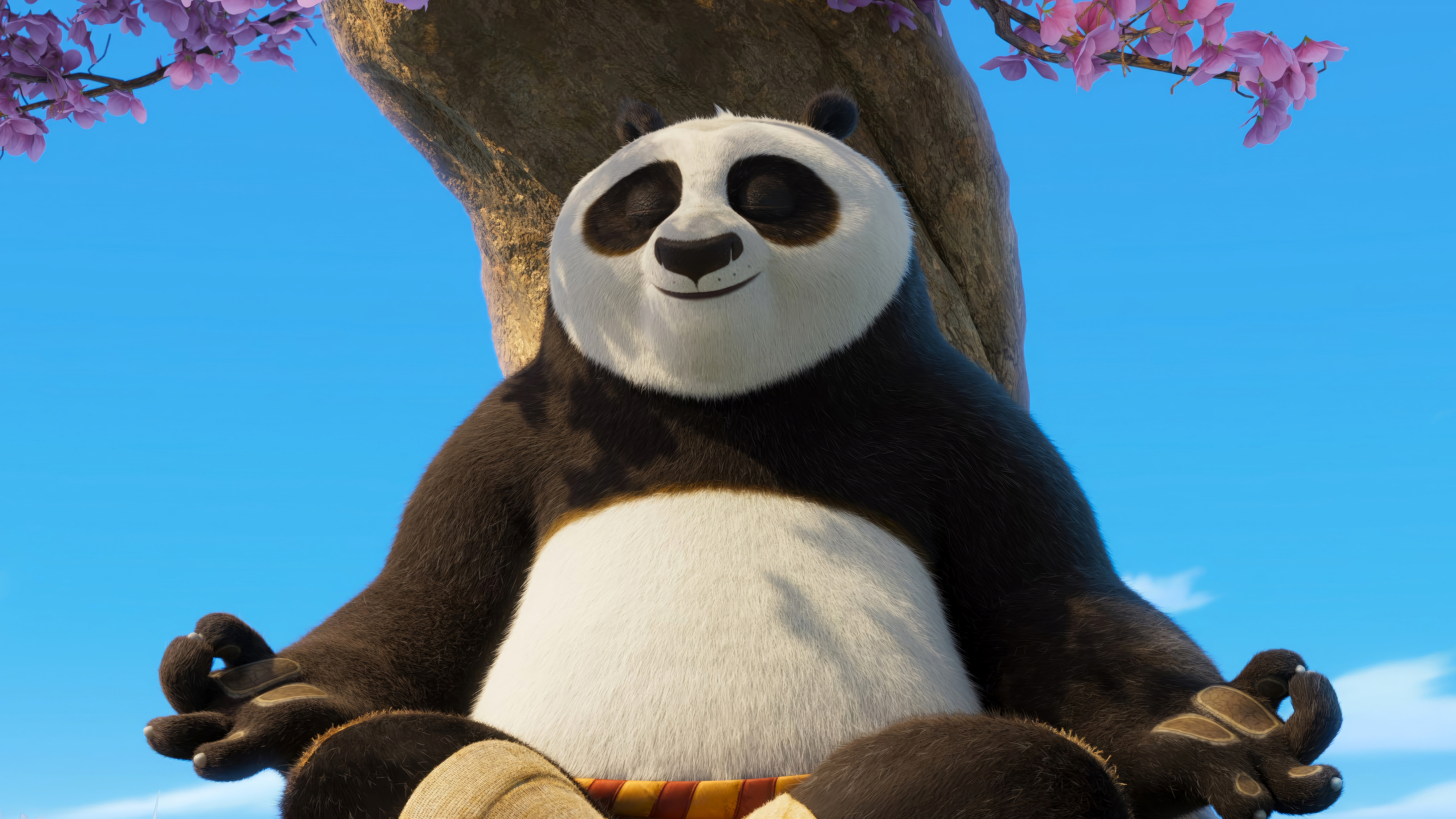 Po Kung Fu Panda 4k Wallpaper