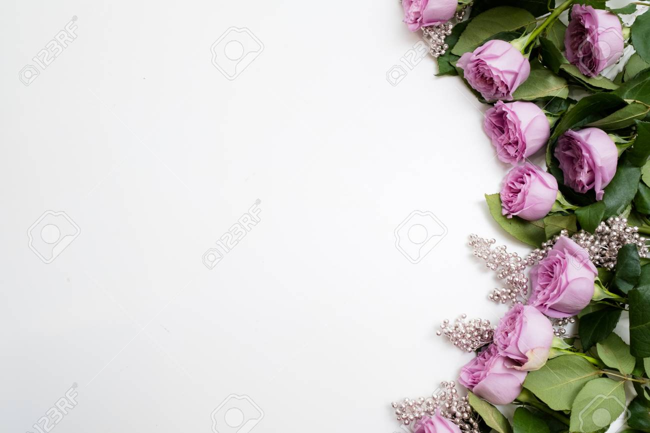 Pink Roses Flowers On The Side Of White Background Sophisticated