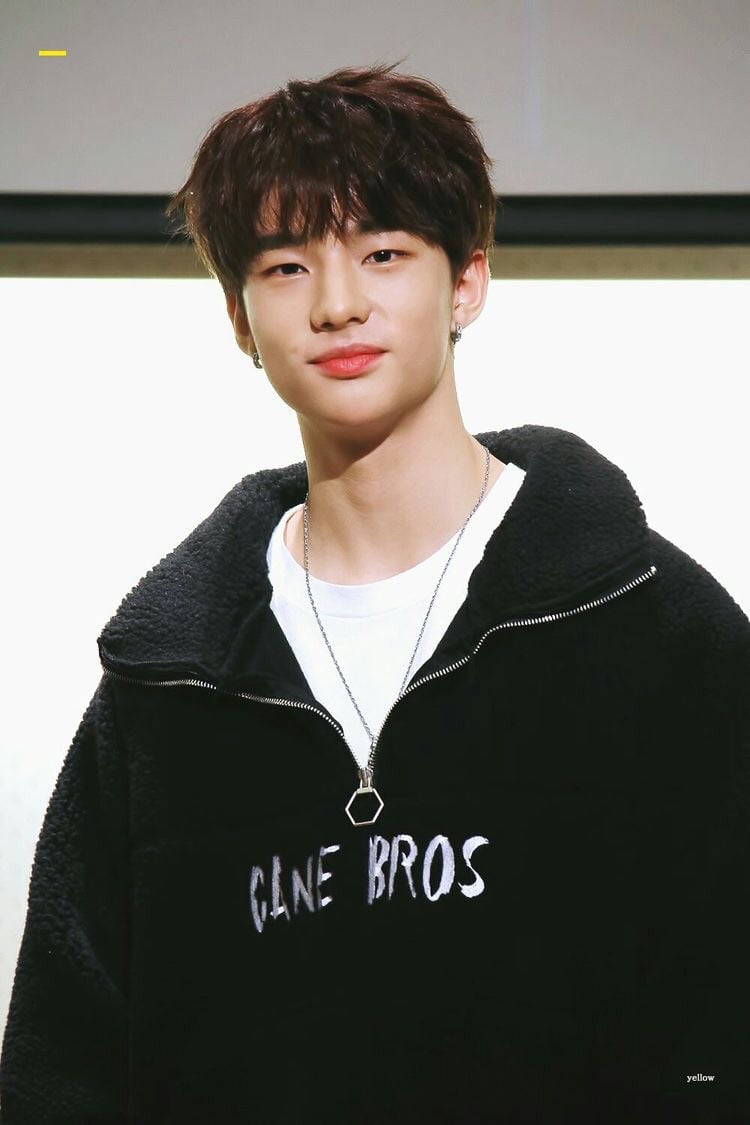 Stray Kids Hyunjin Discovered By Guccihan On We Heart It