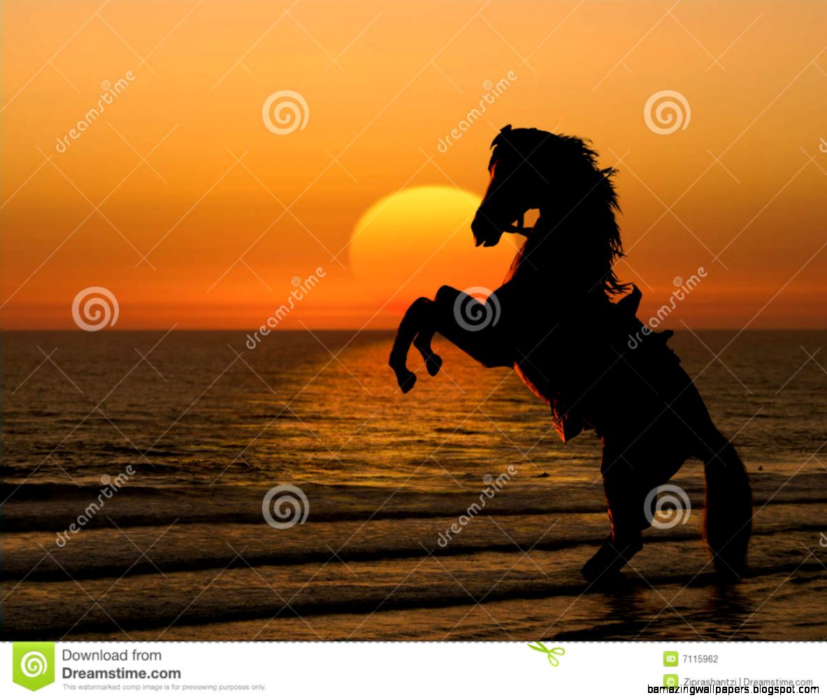 Horses In The Sunset On Beach Amazing Wallpaper