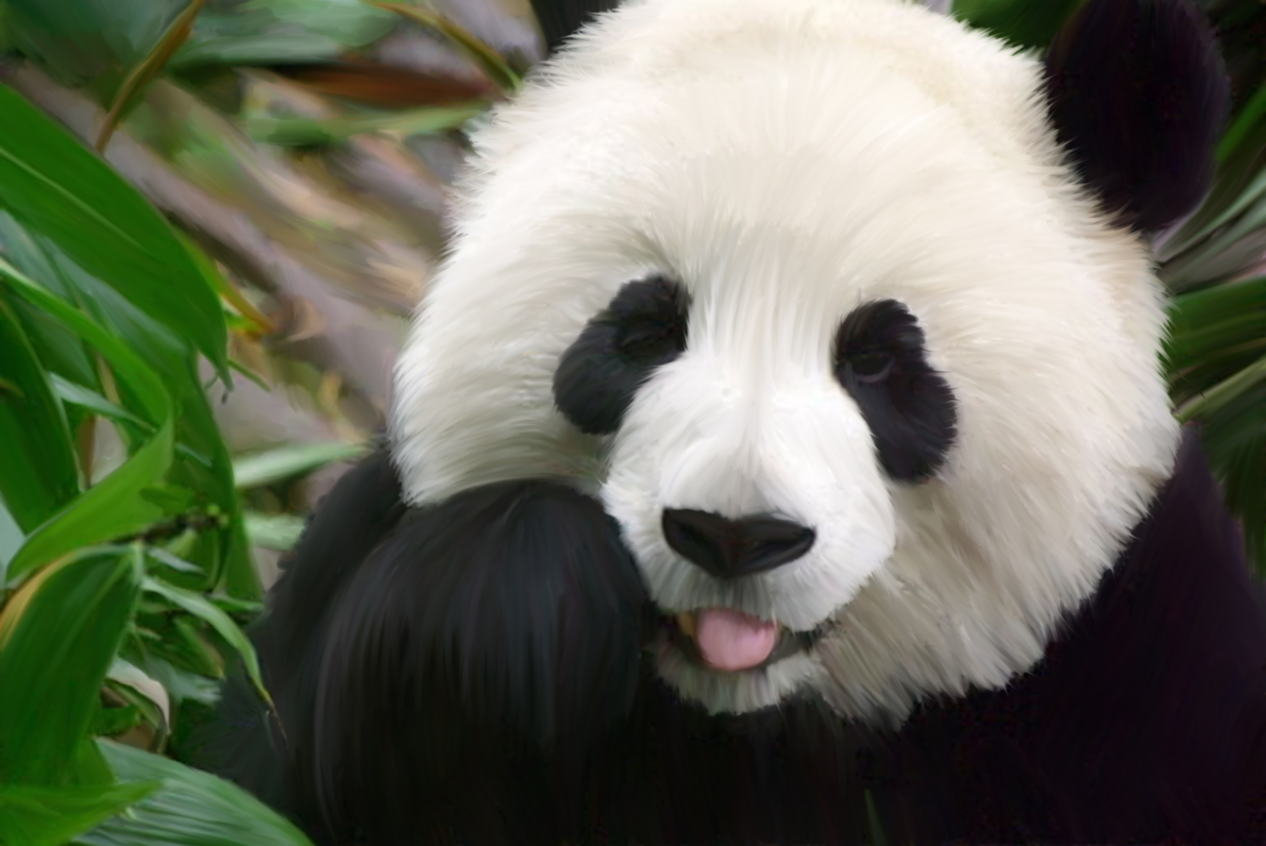 Cute Panda HD Wallpaper Animals