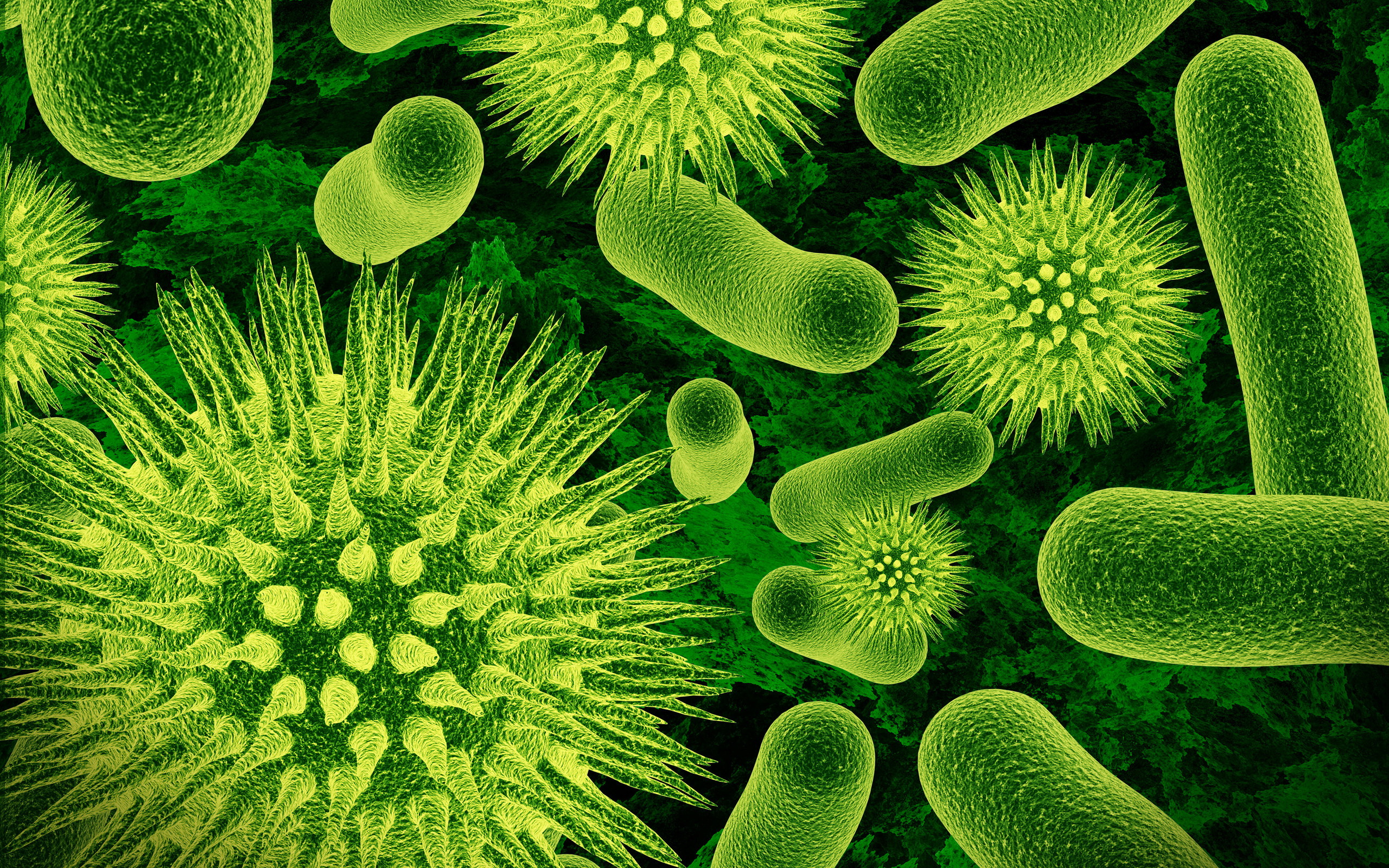 Bacteria Nanoschematic Wallpaper Pictures In High Definition