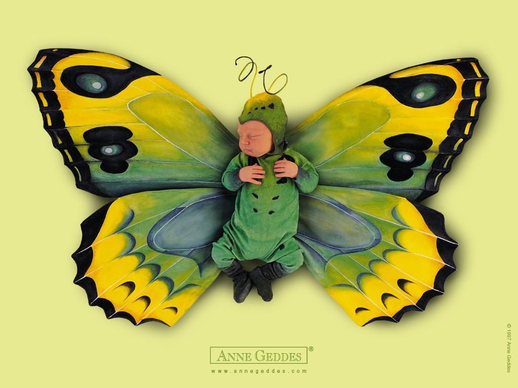 Baby Butterfly Anne Geddes