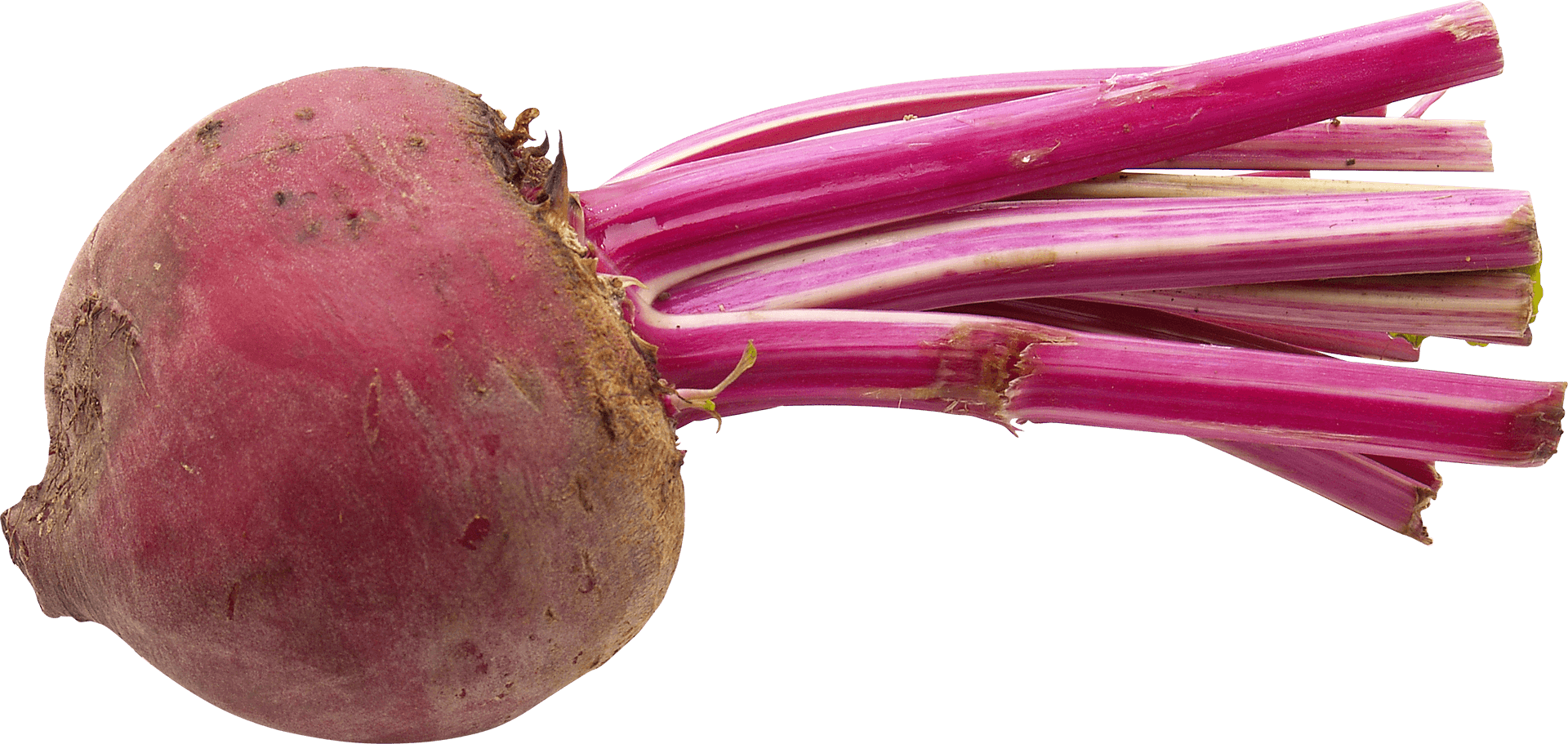Beetroot Png Image Wallpaper